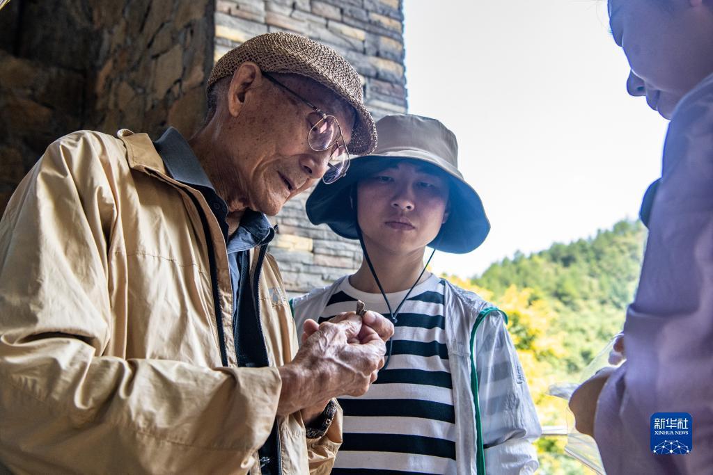 新老虎机下载